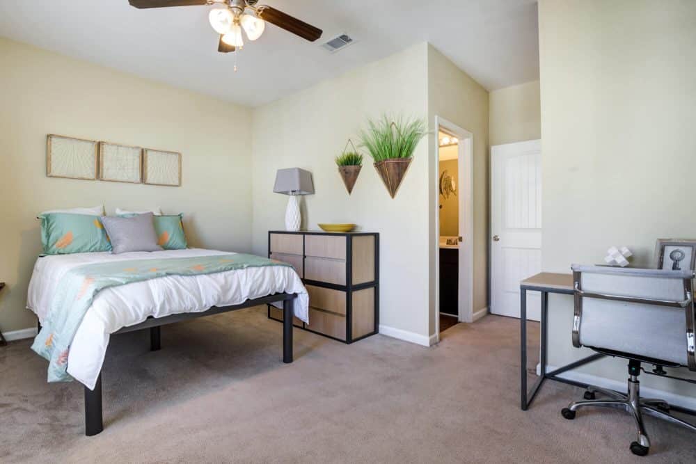 the collective at clemson off campus apartments near clemson university fully furnished spacious bedrooms